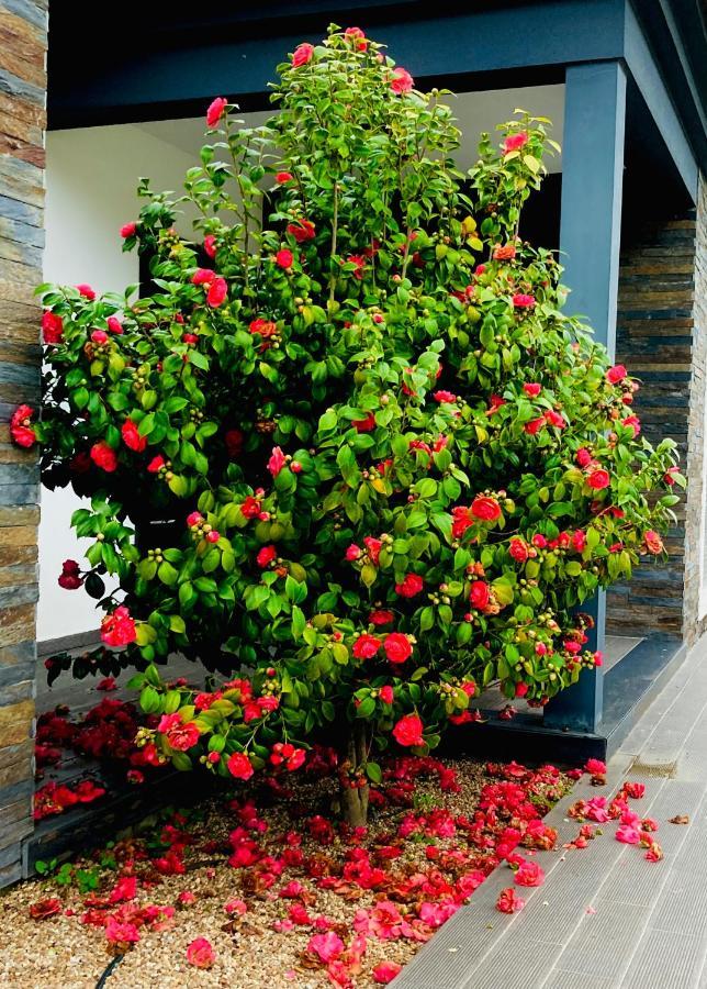 Quinta Do Portal Guest House Bespeira Eksteriør billede